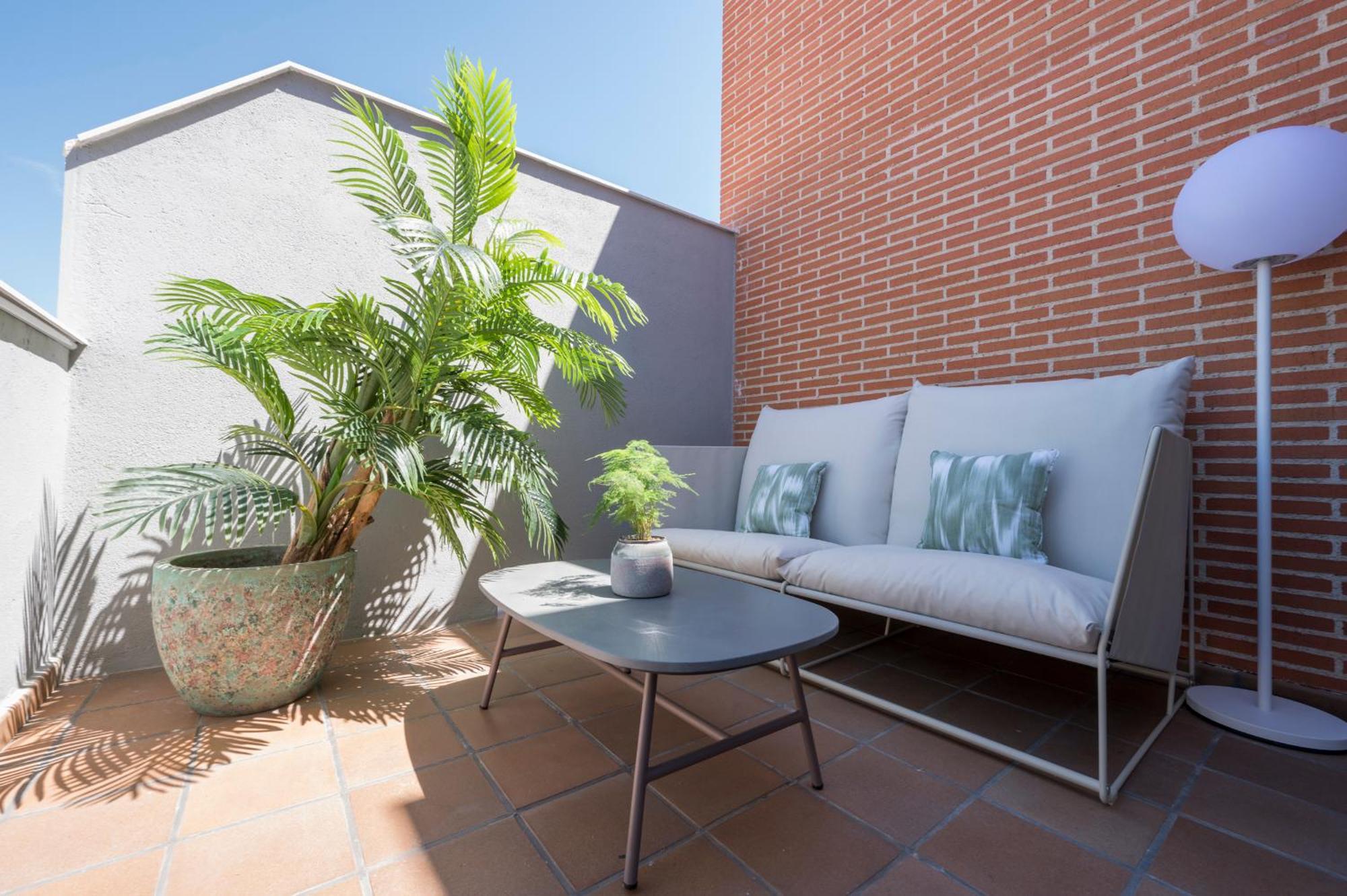 Miosotis Appartement